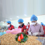 Cashew Nut