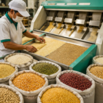 Grains Trading